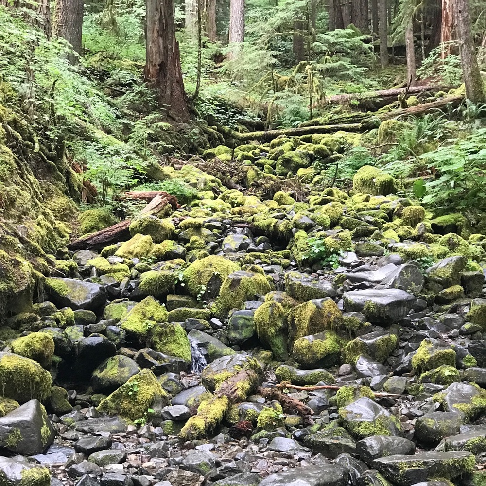 Meet your Posher, Vidyaa